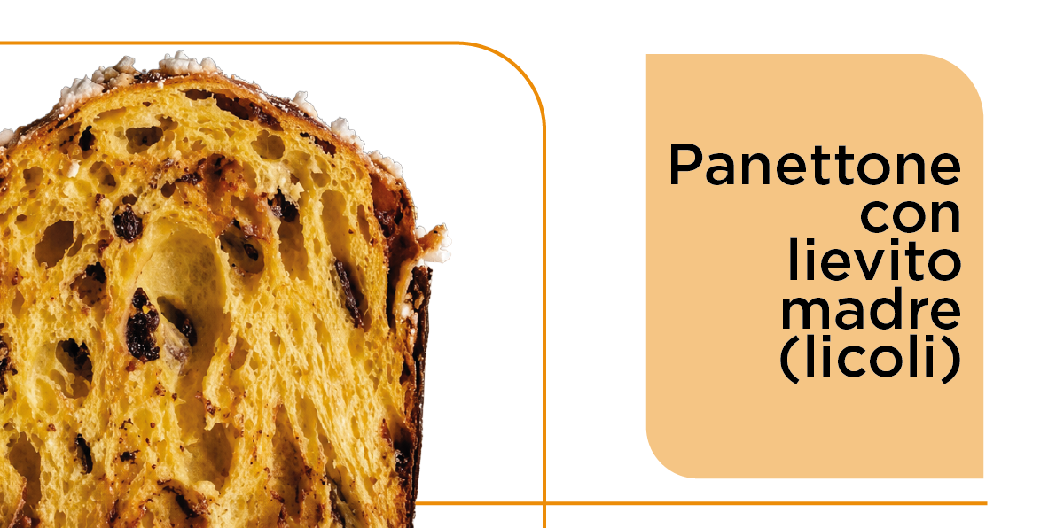 7_panettone con lievito madre (licoli)