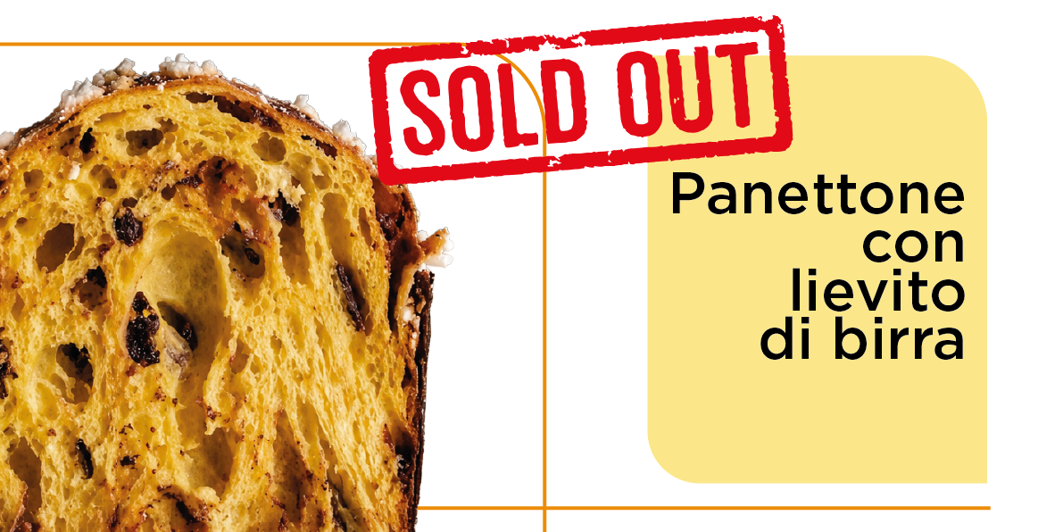 Panettone_livieto-birra_sold-out